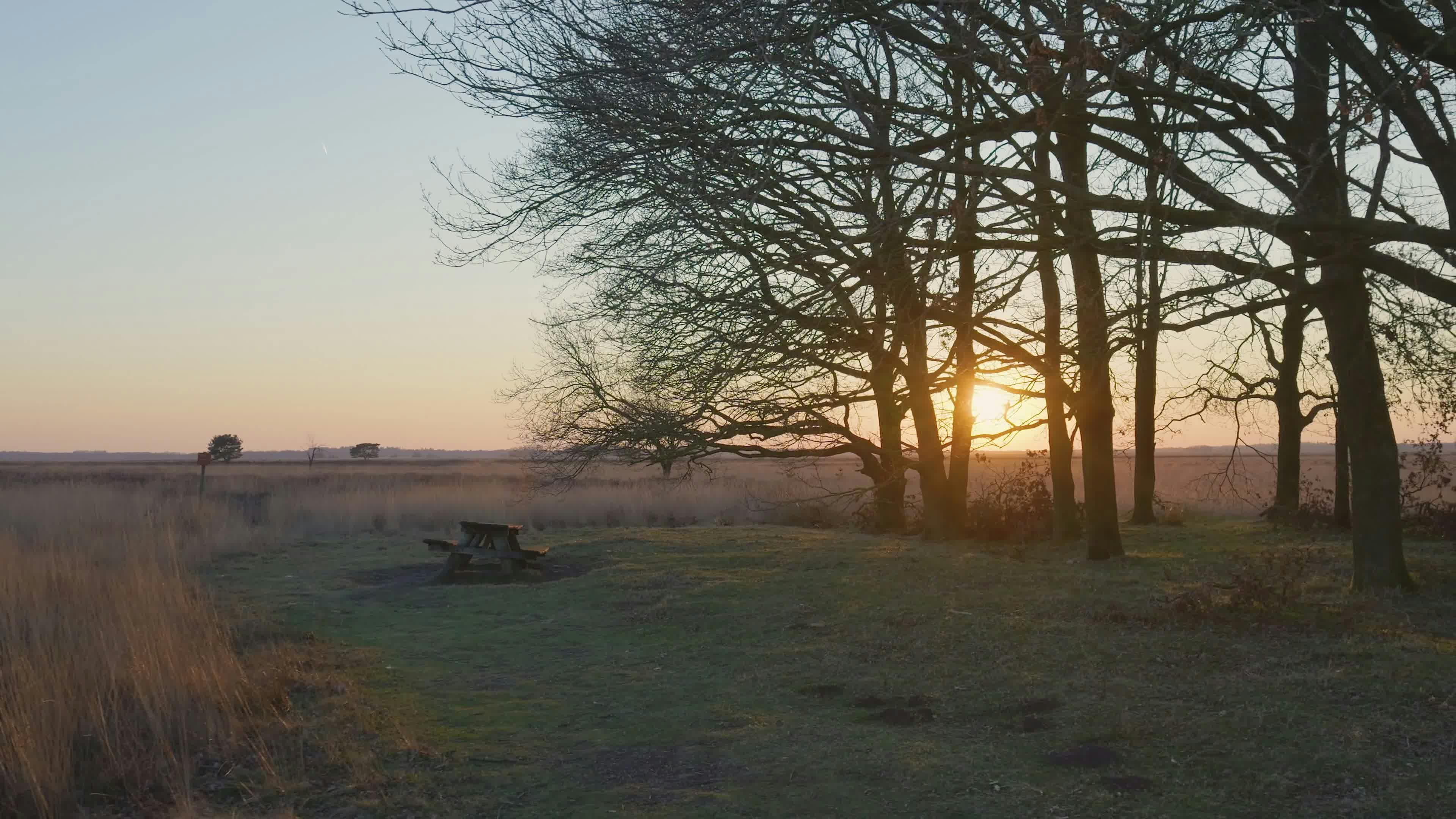 Video by Matthias Groeneveld