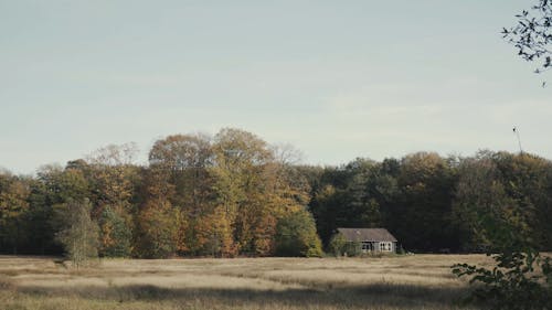 A Farm House Outside Of The Forest Overlooking The Field