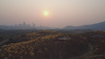 治愈系风景高清视频高清视频视频素材