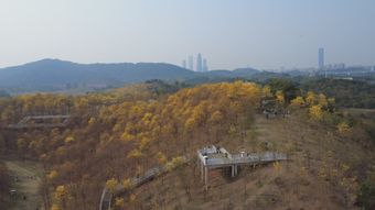 黄鹤楼视频素材