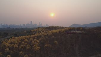 寒露视频素材