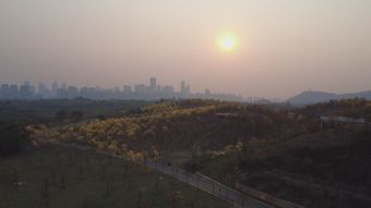 治愈系风景高清视频高清视频视频素材