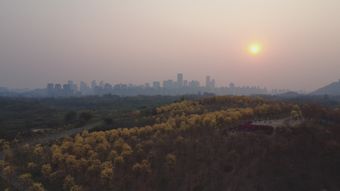 治愈系风景高清视频免费下载免费下载视频素材