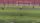 football soccer