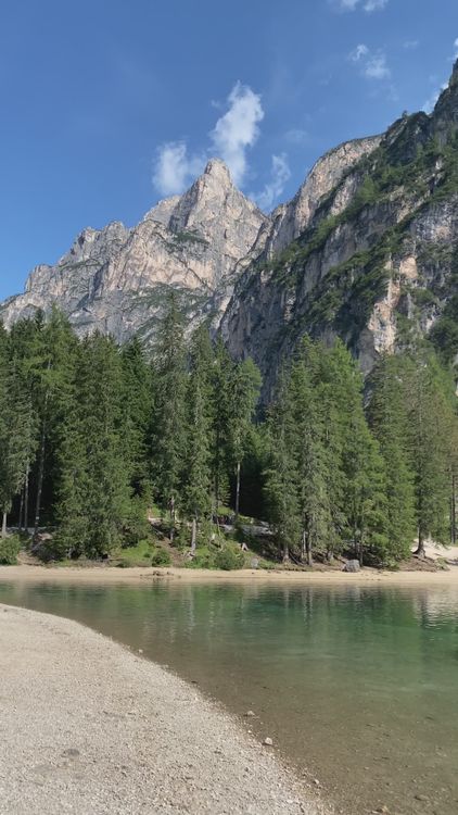 Scenic Mountain Lake with Pine Forests Free Stock Video Footage ...