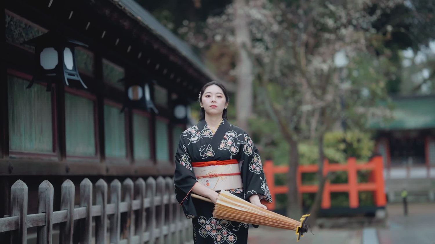 Kimono Walking Videos, Download The BEST Free 4k Stock Video Footage ...
