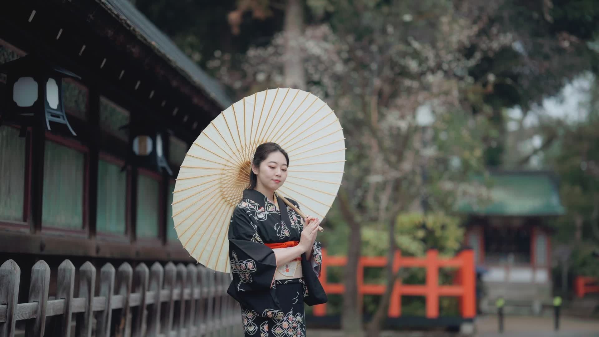 Traditional Kimono Walk in Japanese Garden Free Stock Video Footage ...