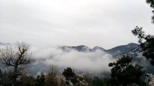 Brouillard épais Couvrant Les Pentes Et Les Vallées Des Montagnes