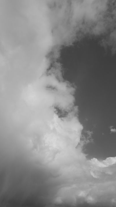 Altaf Shah's nature timelapse video