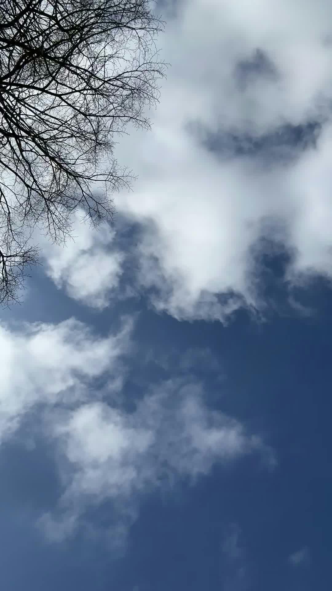 Video by Bav Vadgama