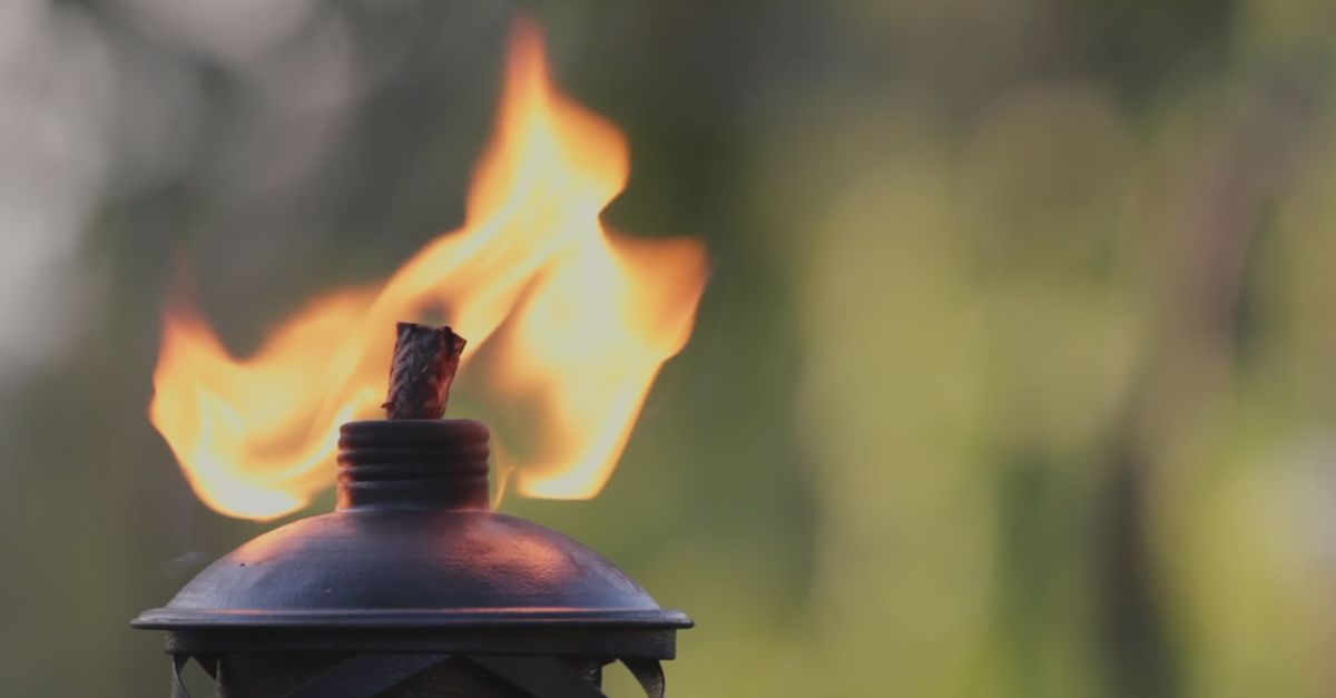 Torch Video Outdoor Torch with Flickering Flame Free Stock Video Footage, Royalty ...
