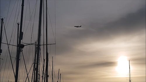 An Airplane Flying Over The Bay Passing Over Sailboats In The Marina