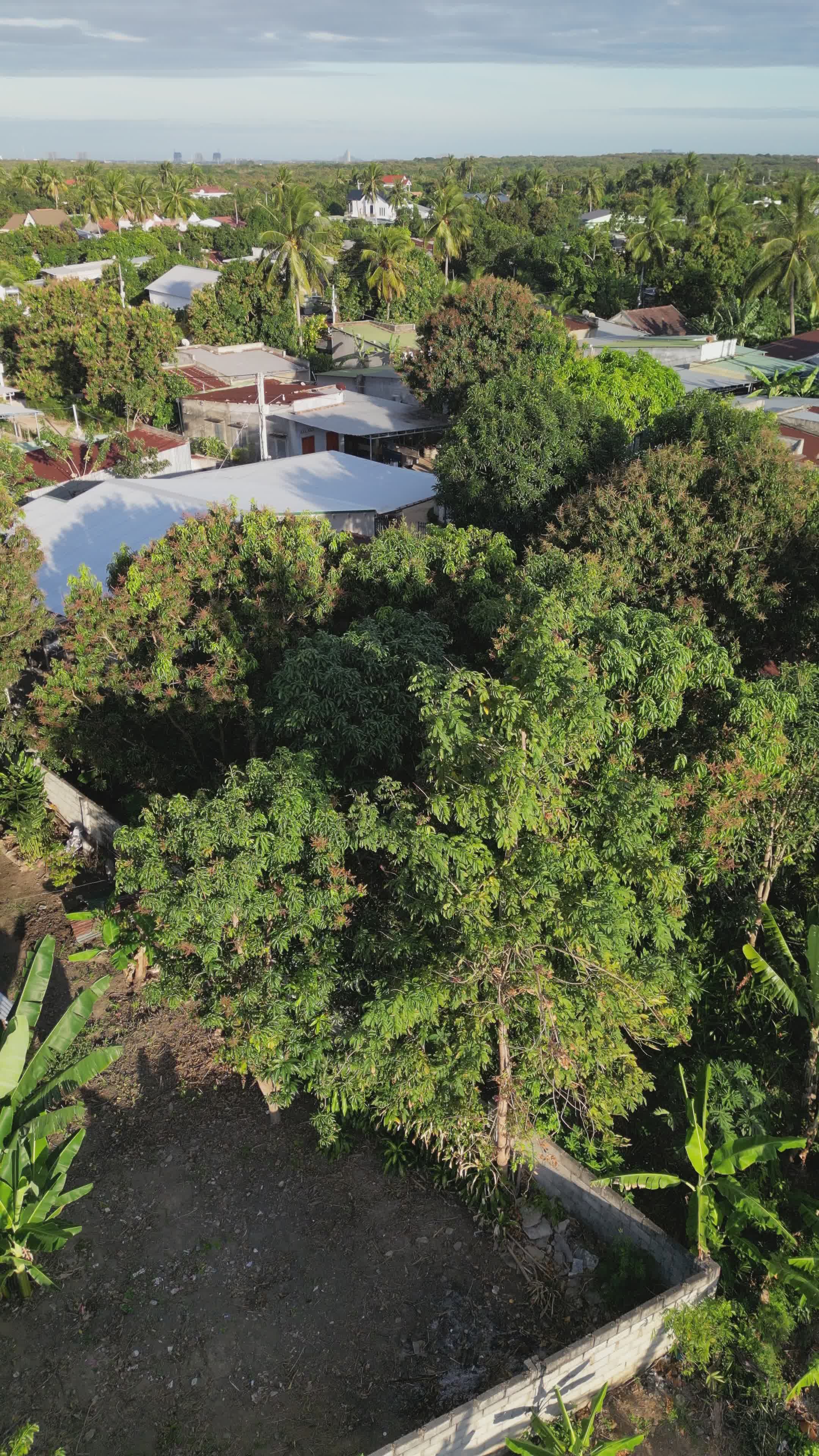 Scenic Aerial View of Lush Green Landscape Free Stock Video Footage ...