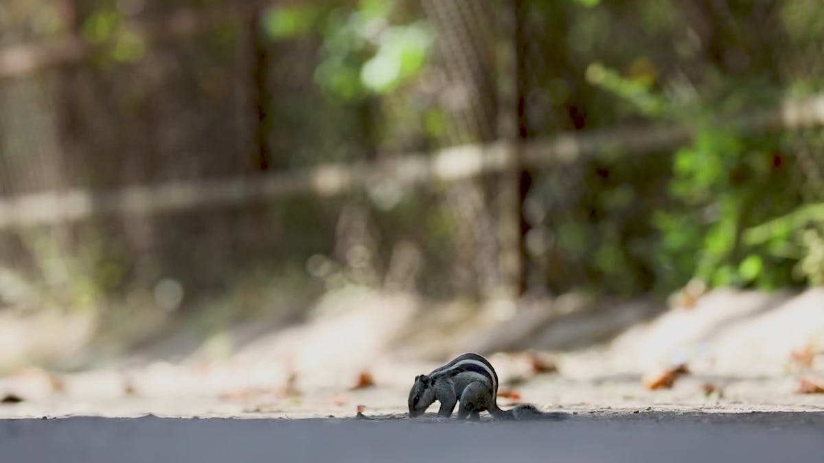 Simply+The+Best+Reverse+Cowgirl+Compilation+Ever Videos, Download The