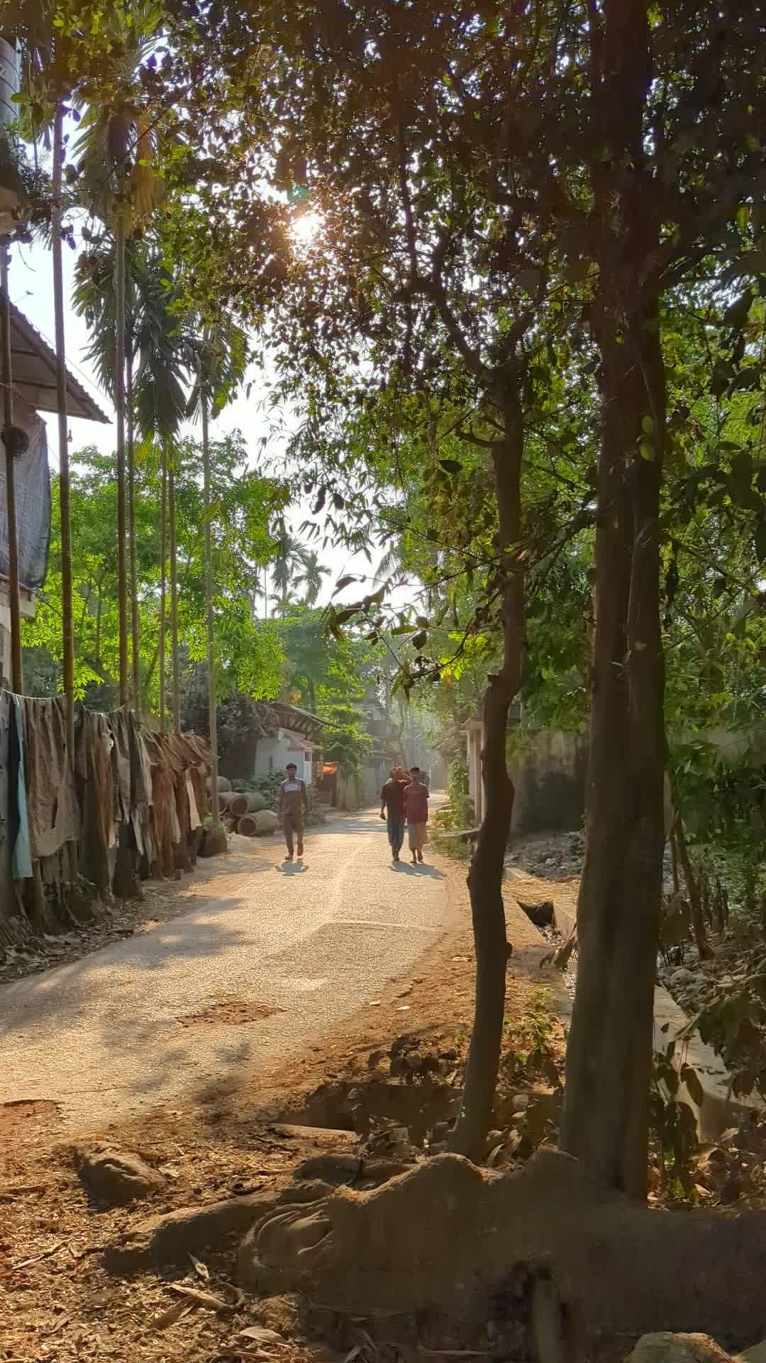 Rural Pathway with Locals and Rickshaw in Sunlight Free Stock Video ...