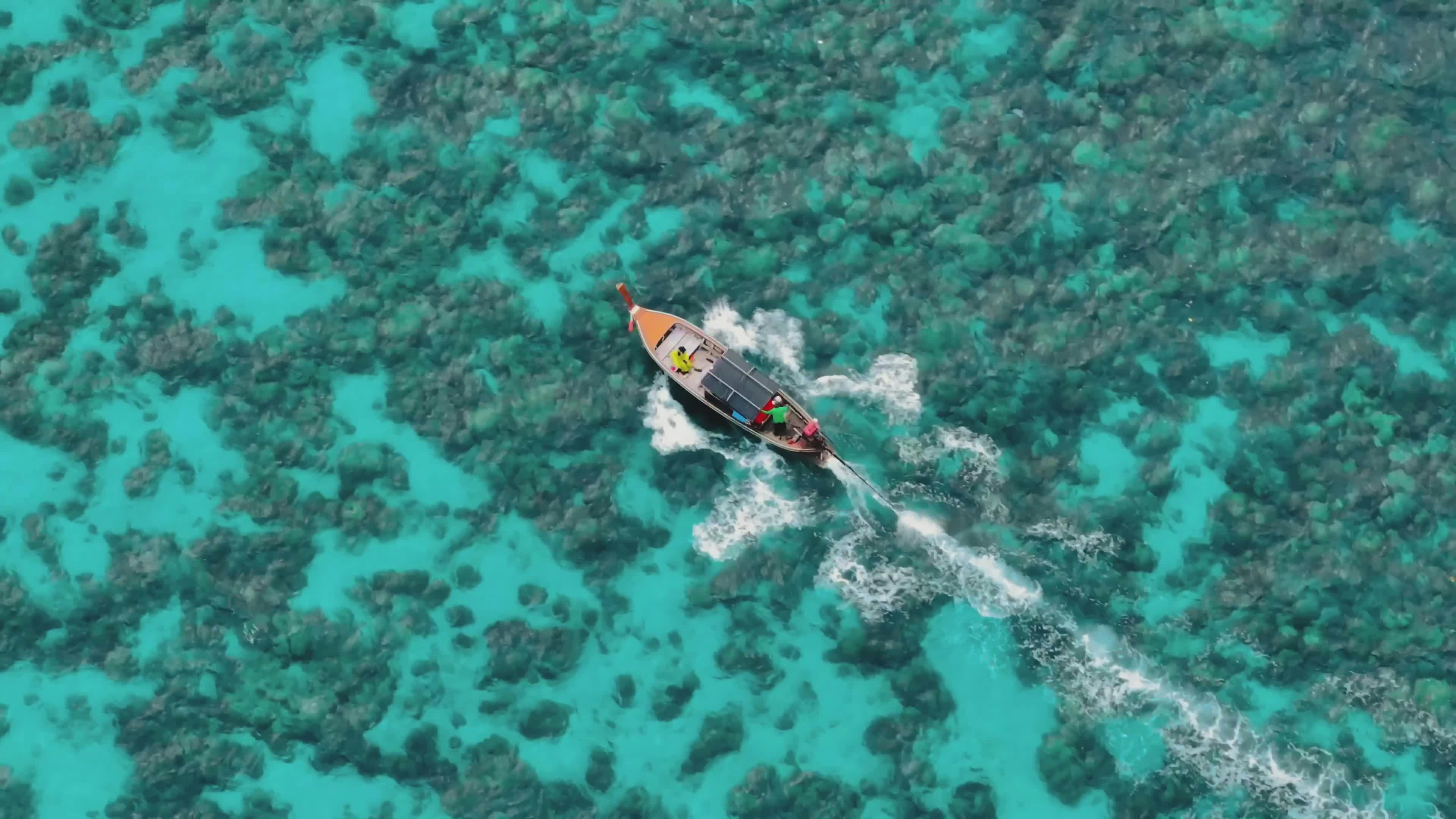 Video by Optical Chemist