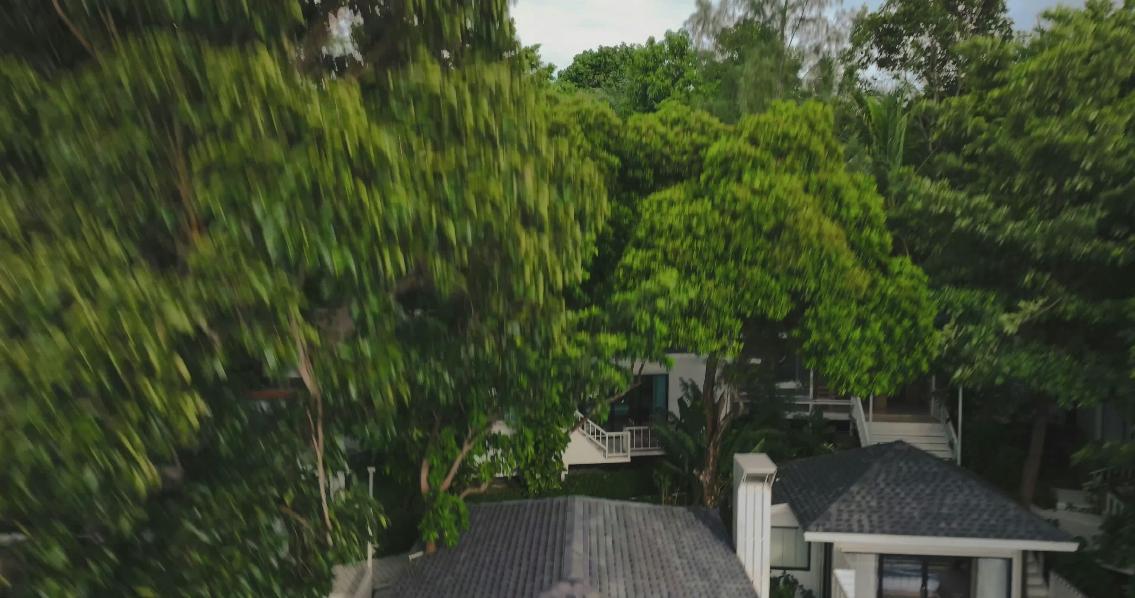 Video by Optical Chemist