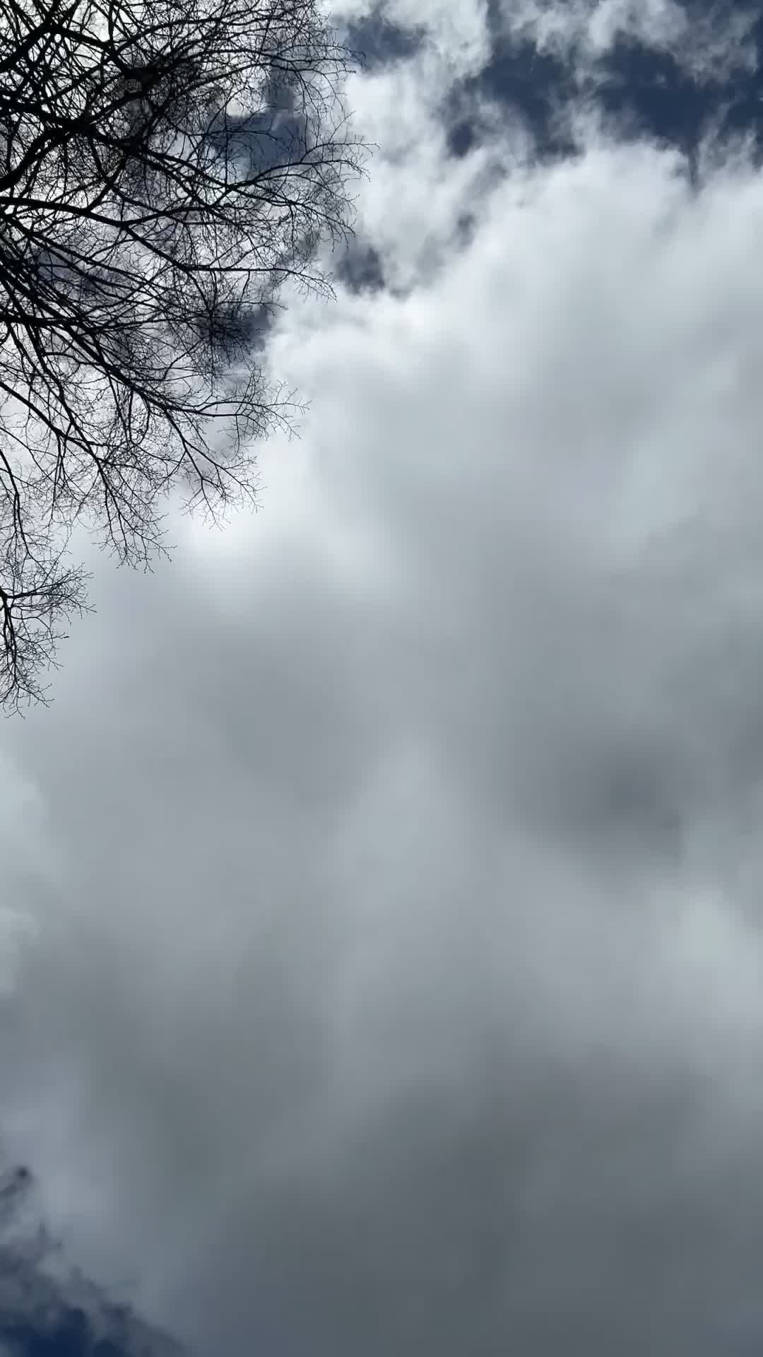 Video by Bav Vadgama