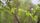 ecology