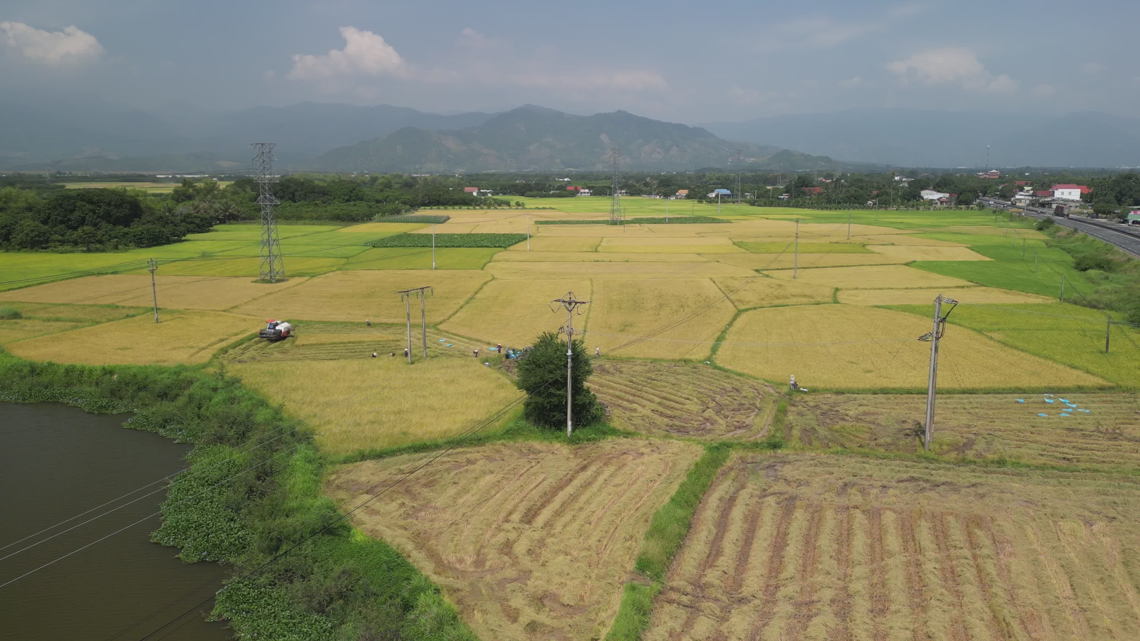Stunning Aerial View of Rice Fields in Vietnam Free Stock Video Footage ...