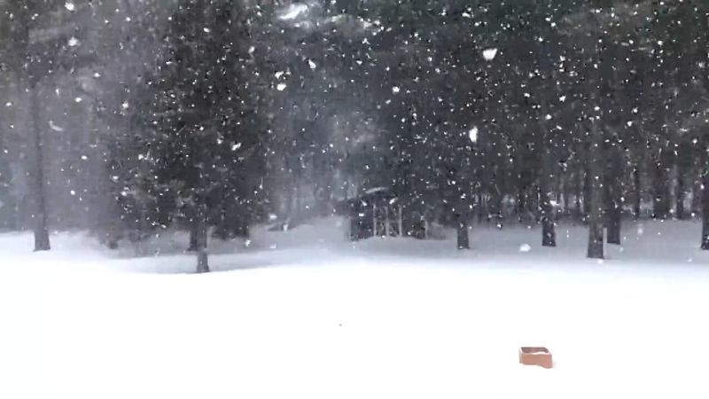 Snow Fall Clips Snow Falling Video Free Stock Video Footage, Royalty-Free 4K & HD Video ...