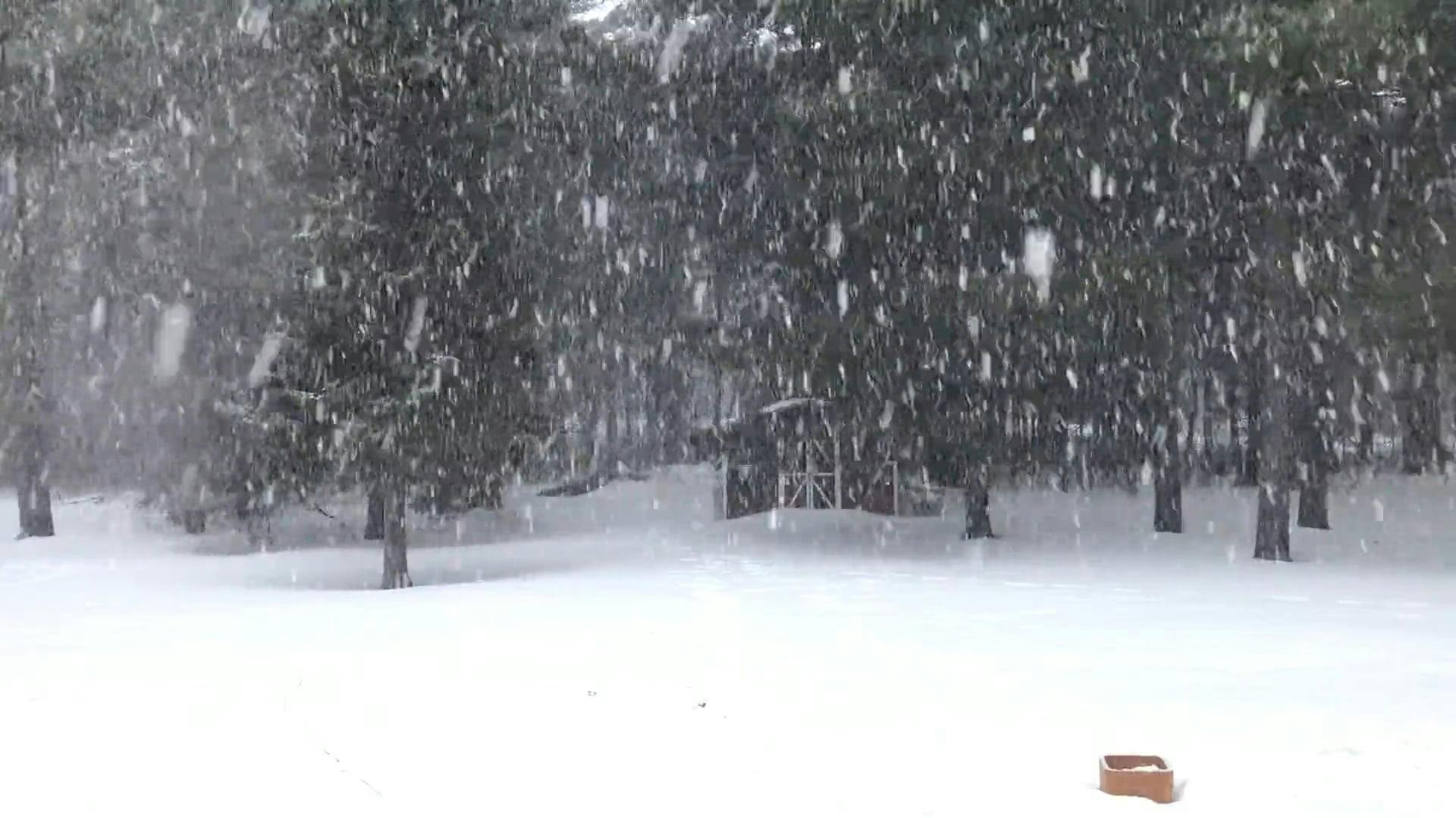 Snow Falling Video Free Stock Video Footage, Royalty-Free 4K & HD Video ...