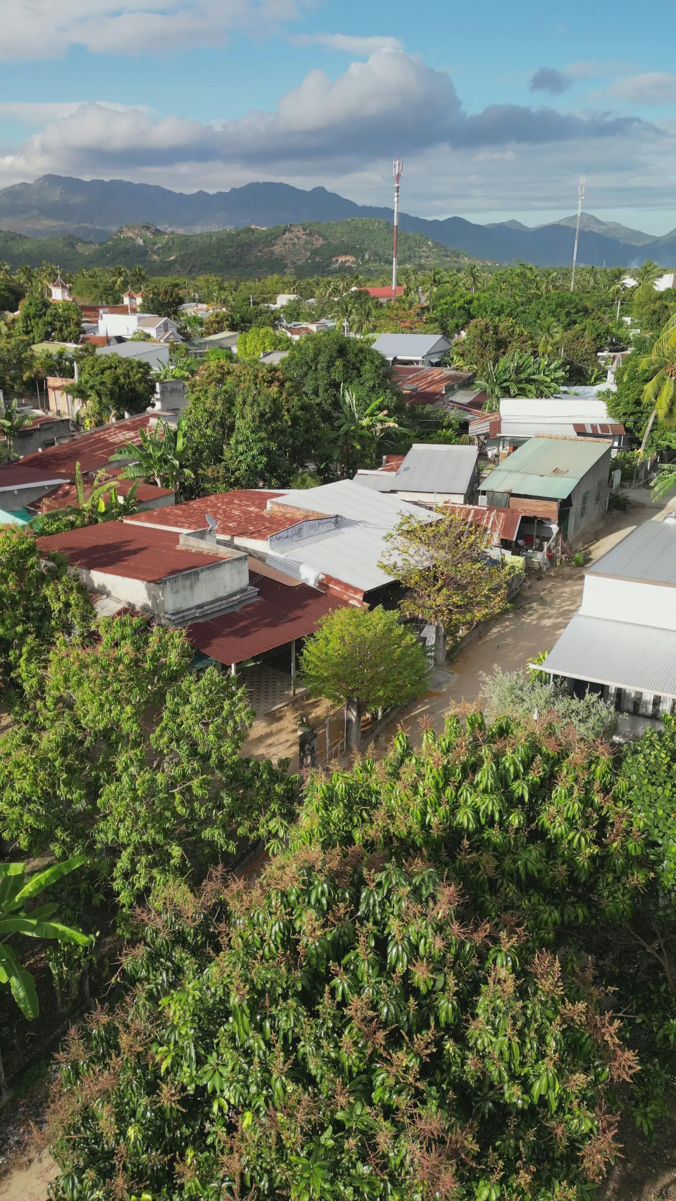 Video by Hữu Thịnh 79