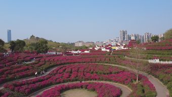 治愈系风景高清视频免费下载免费下载视频素材