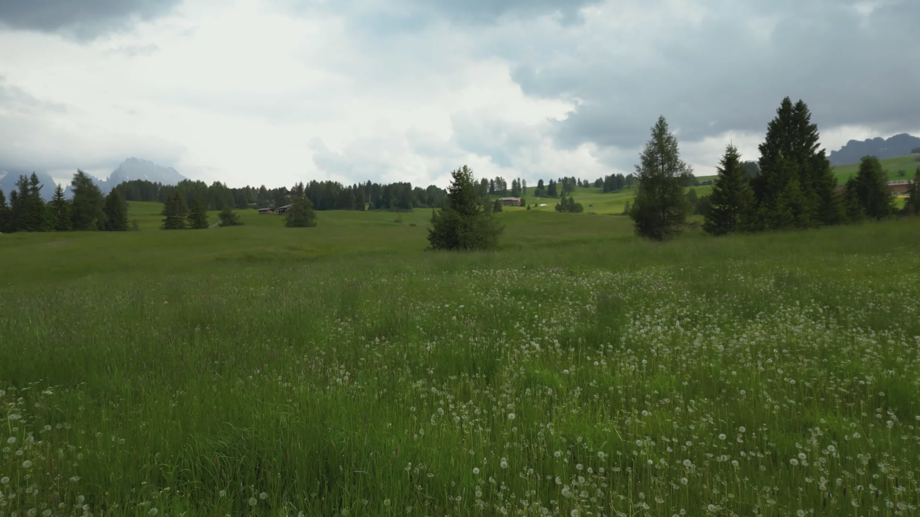 Scenic Aerial View of Lush Green Landscape Free Stock Video Footage ...