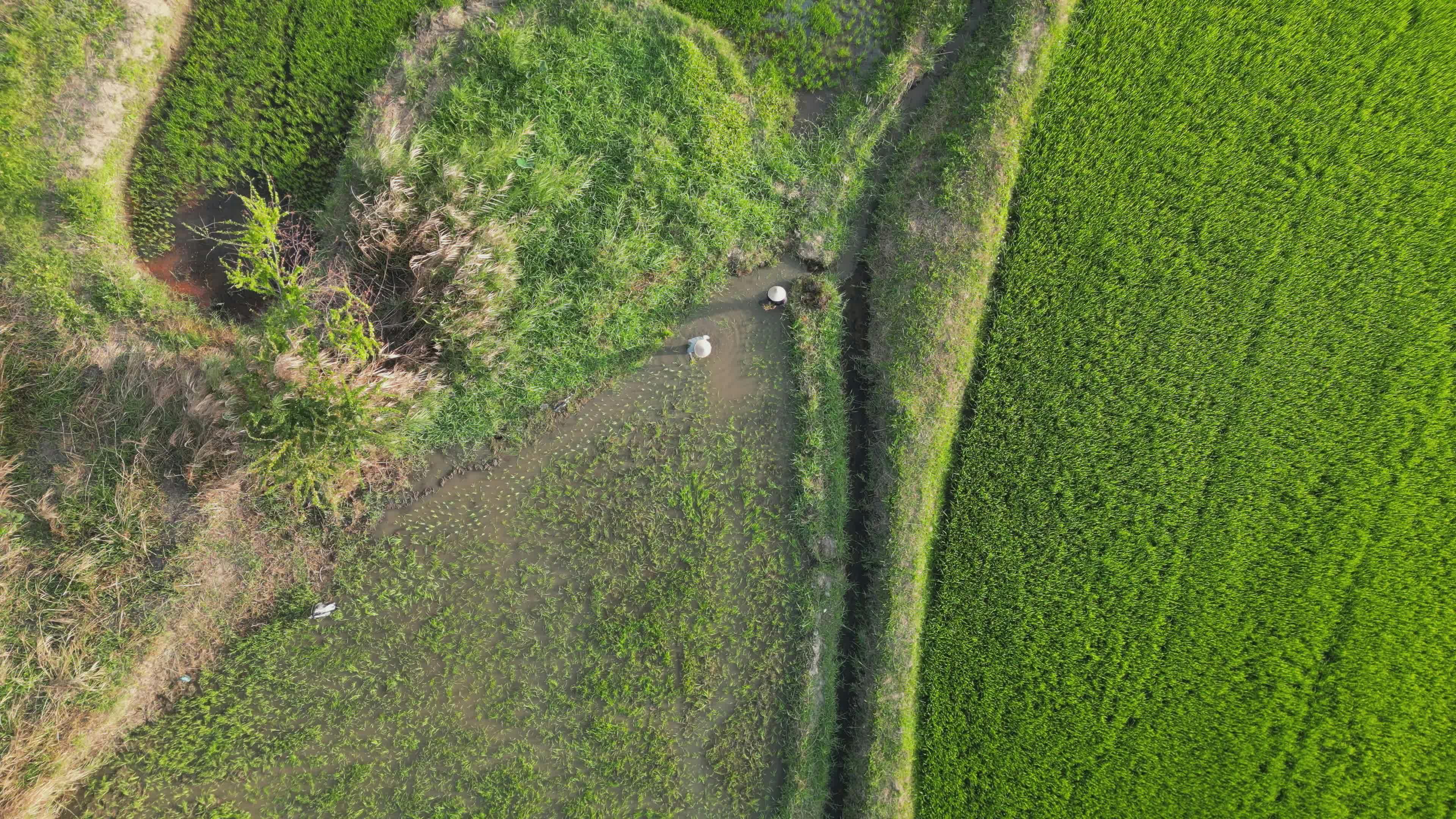 Video by Hữu Thịnh 79