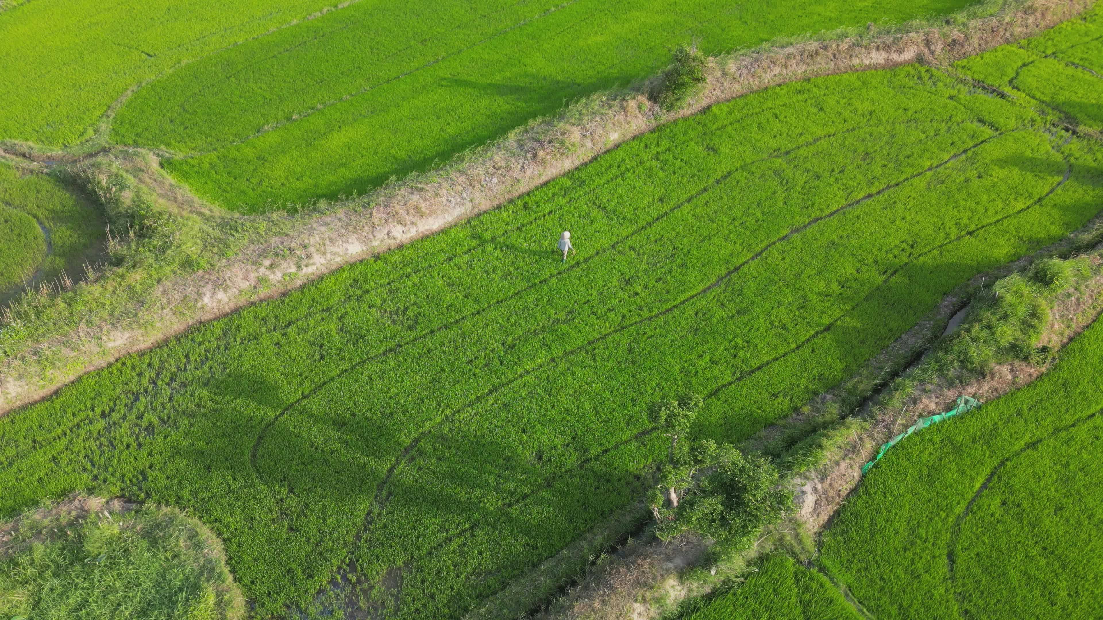 Video by Hữu Thịnh 79