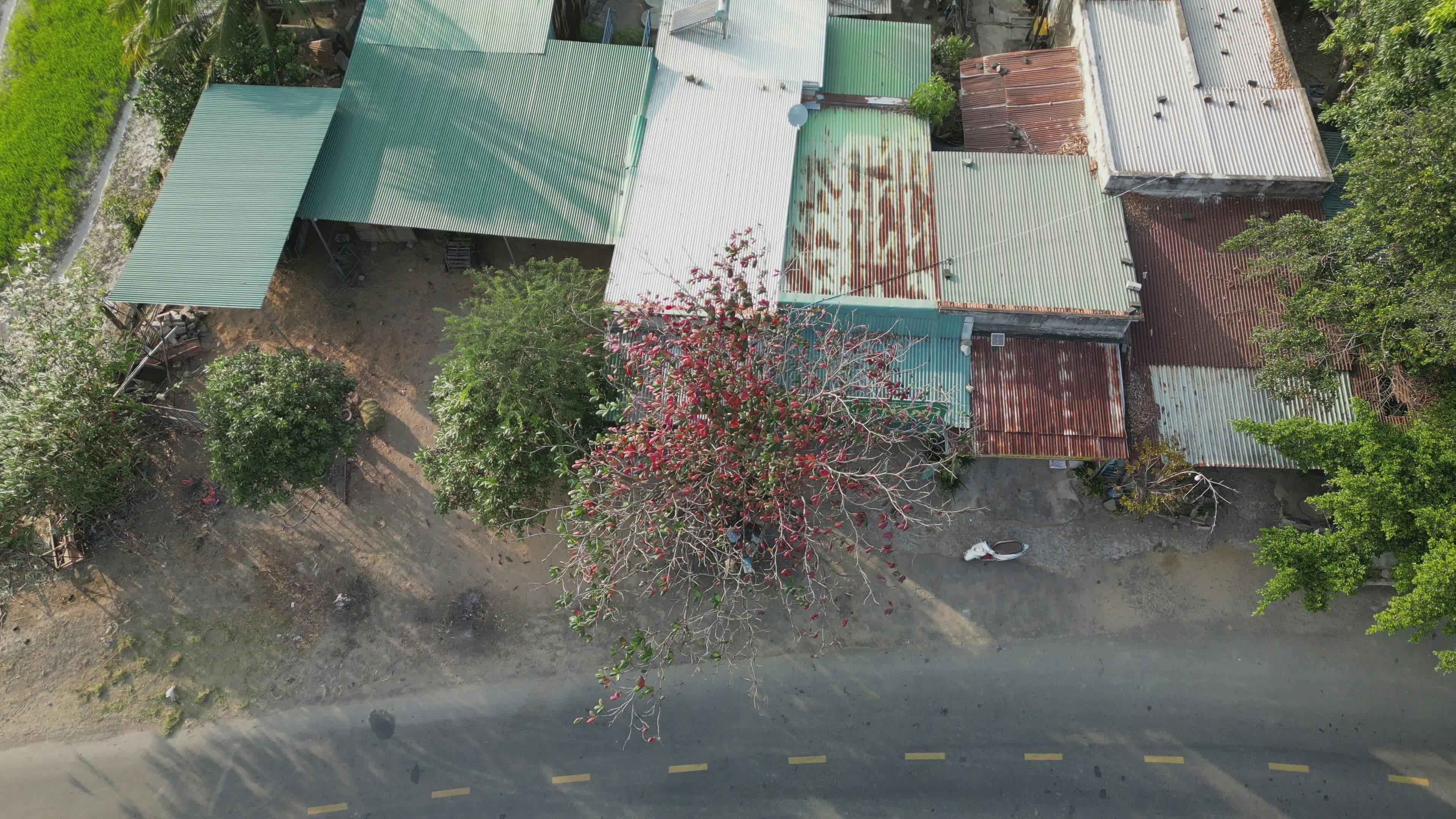 Video by Hữu Thịnh 79