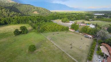 Summer Collection Launch