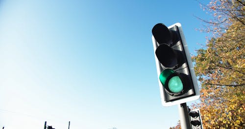 Flashing Green Traffic Light 