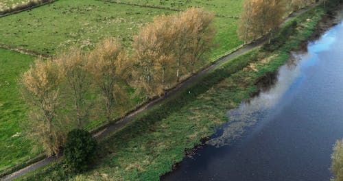 Aerial View Of Grassland With Autumn Trees Near A River