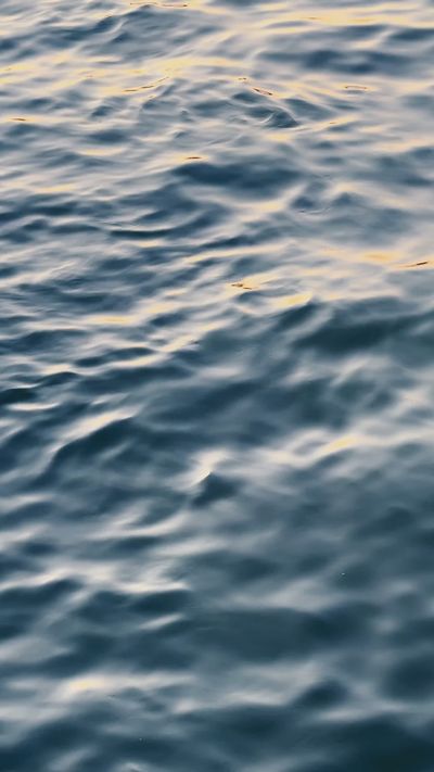 Ahmed ؜'s ocean waves sunset video