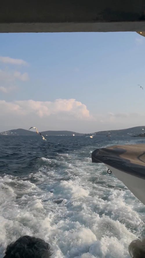 Seagulls Flying behind a Boat