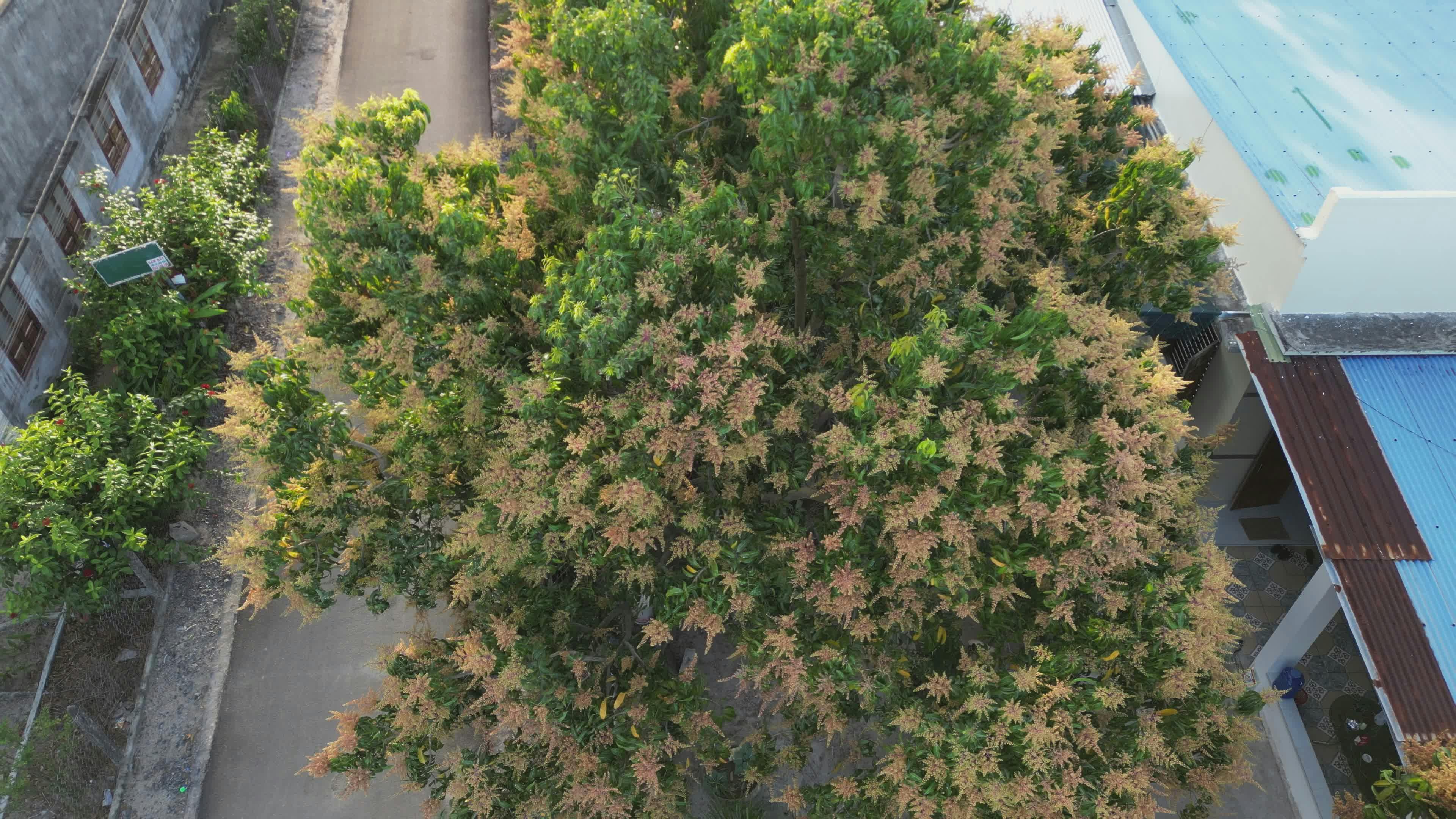 Video by Hữu Thịnh 79