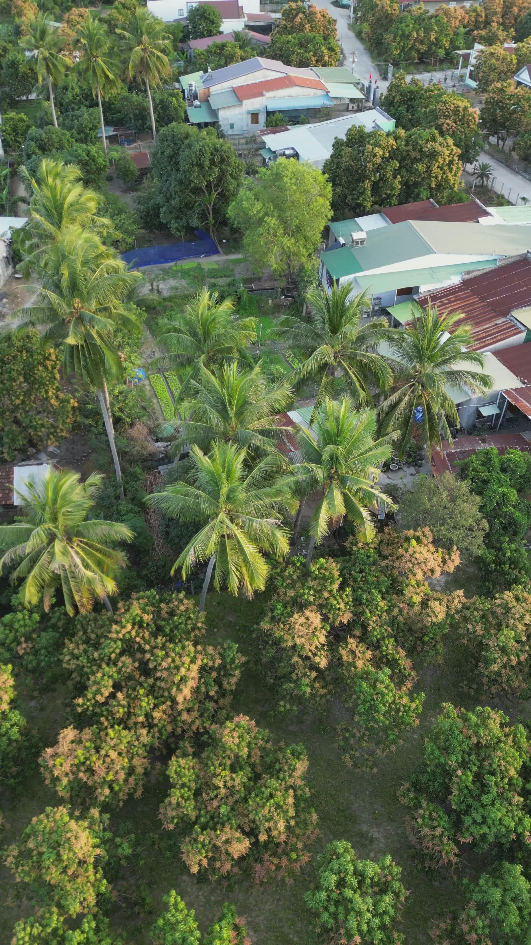 Video by Hữu Thịnh 79