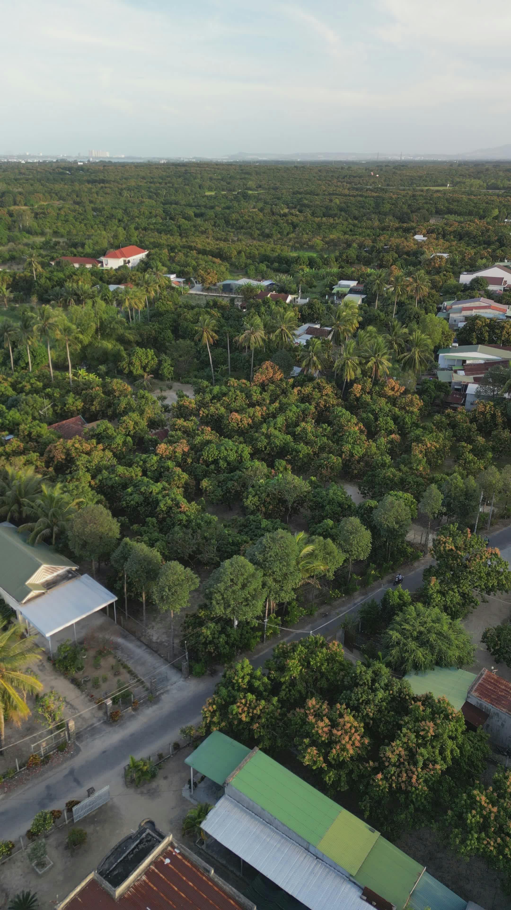 Video by Hữu Thịnh 79