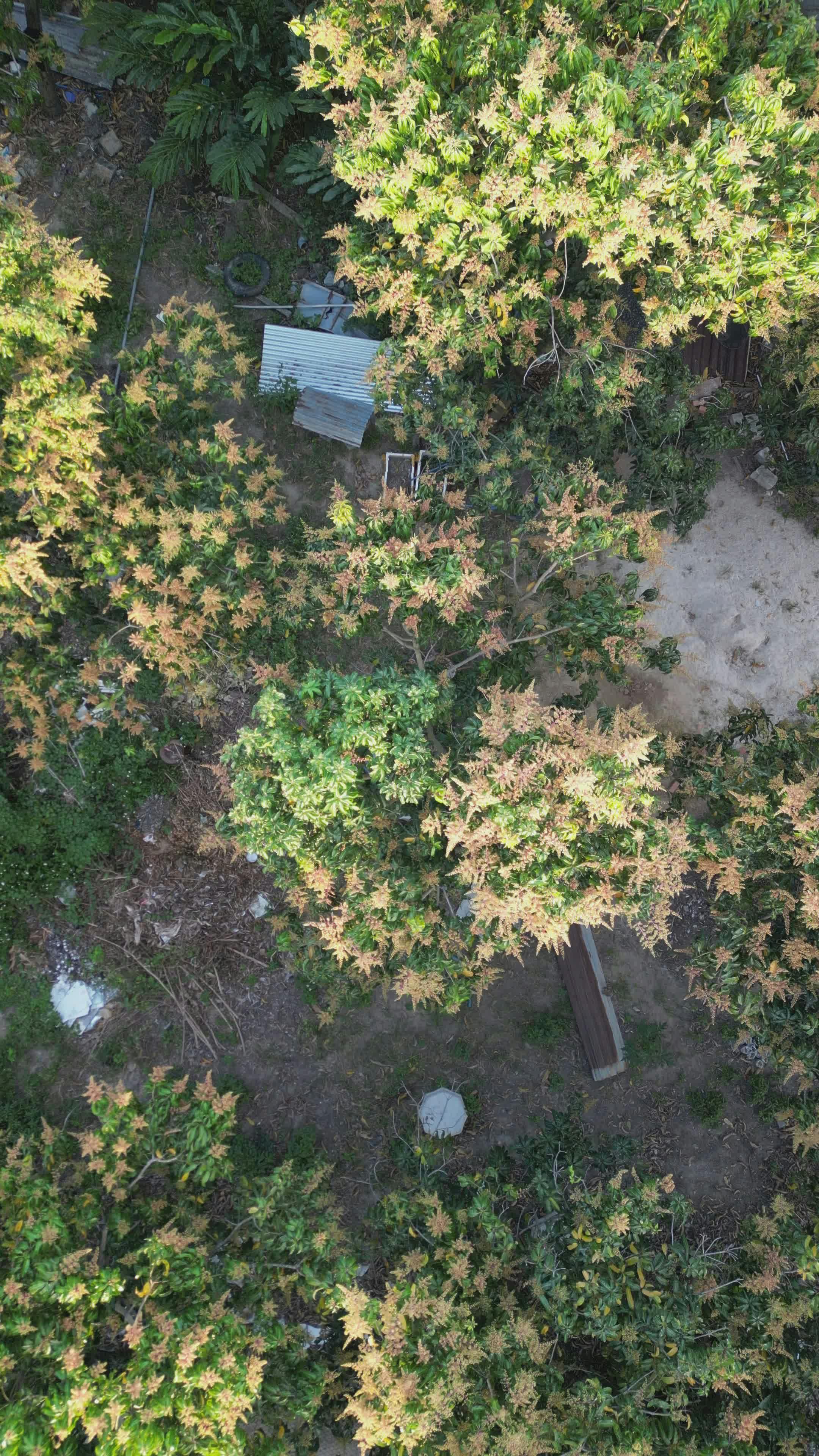 Video by Hữu Thịnh 79