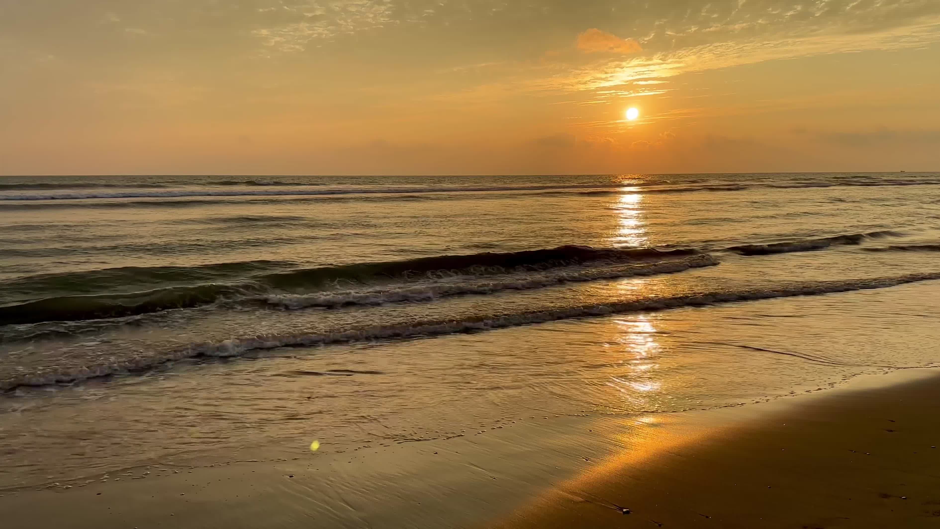 tranquil beach sunset with gentle waves 31544395