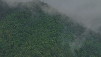 泰山高清视频视频素材视频素材