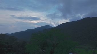 倒米酒高清视频免费下载视频素材