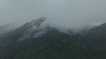 泰山高清视频视频素材视频素材