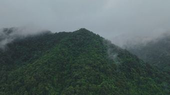 4K