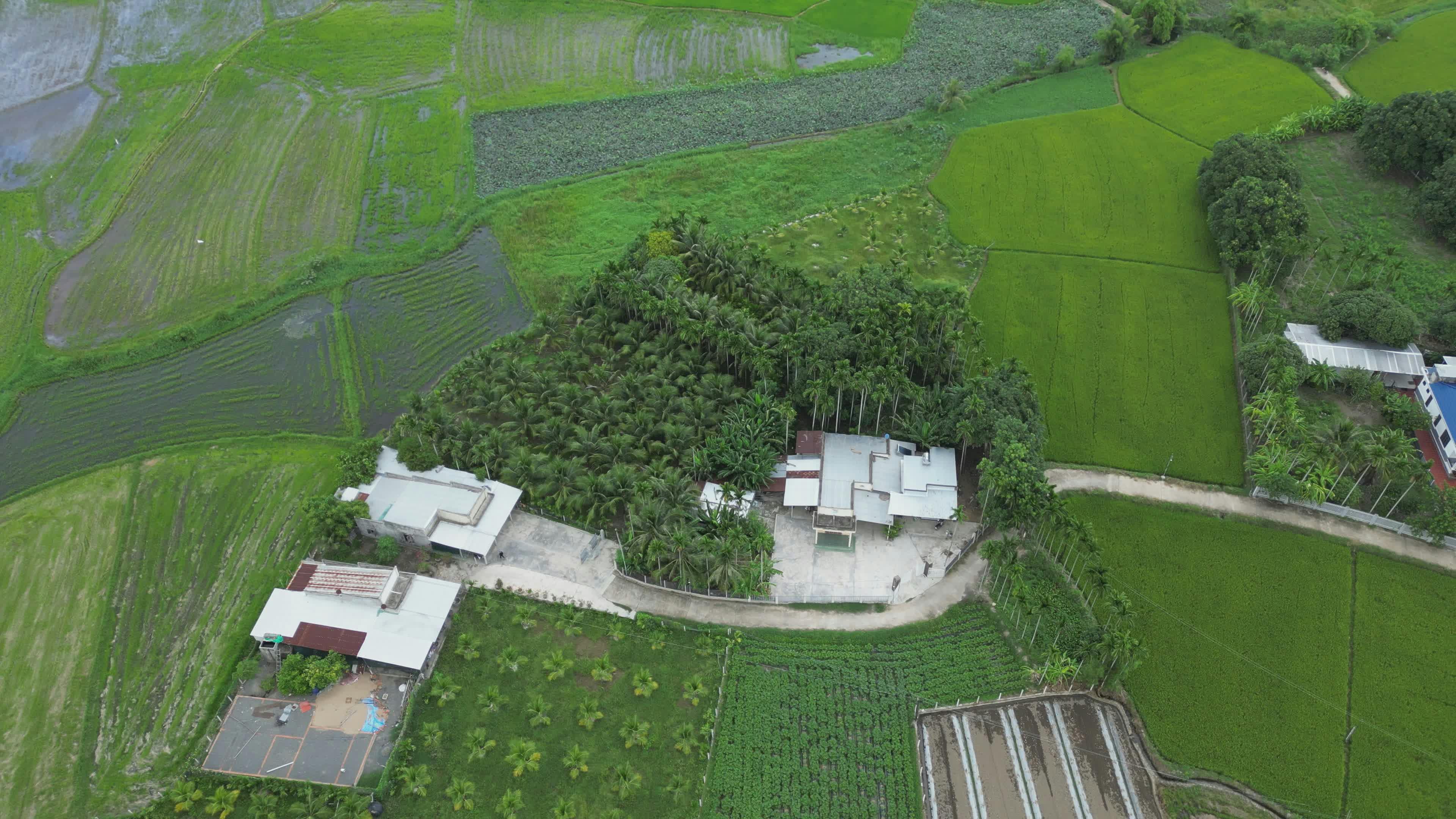 Video by Hữu Thịnh 79