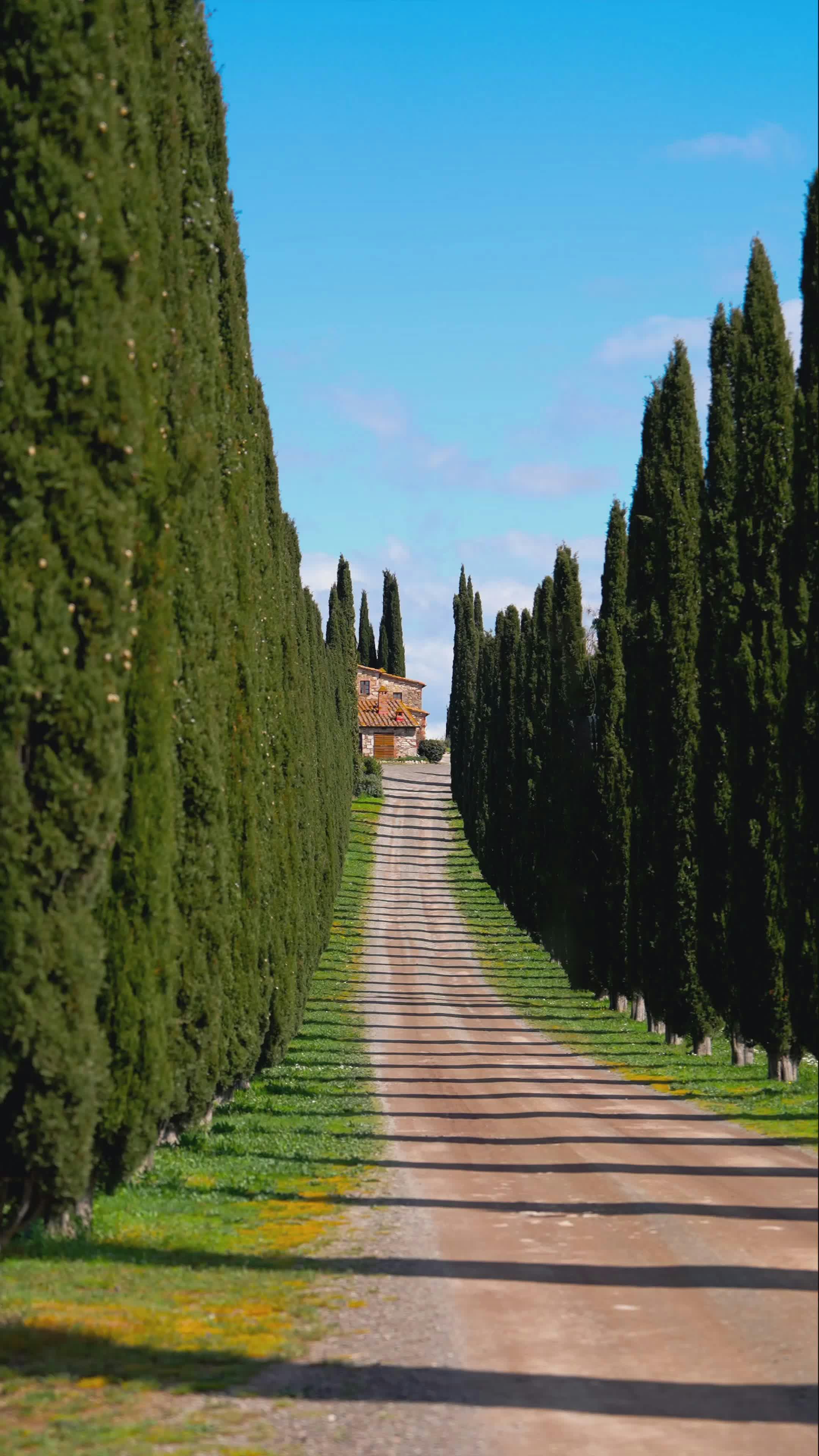 Video by Alberto Escalona