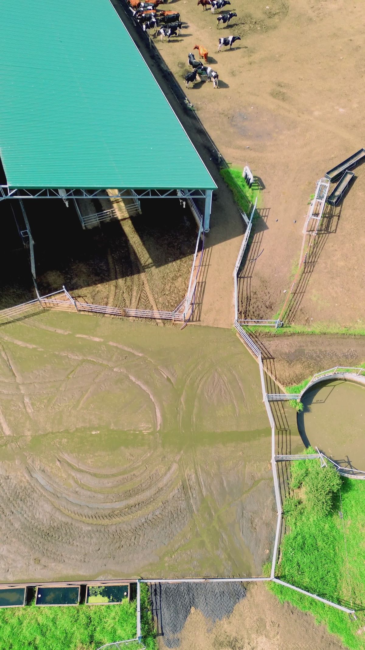 An aerial view of a cattle farm with a fence Free Stock Video Footage ...