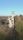 landscape background